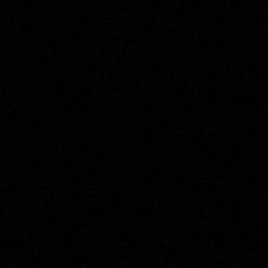 Meet your Posher, Lizzy